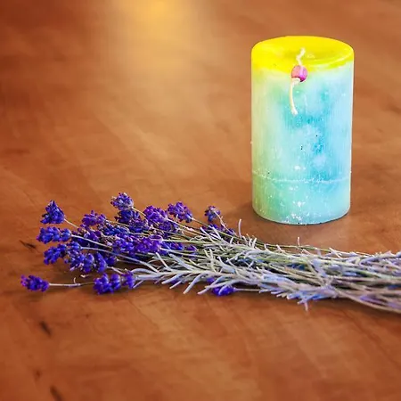 广场酒店 3* 瓦爾納